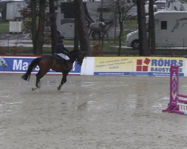 Reitturnier Westergellersen 2023