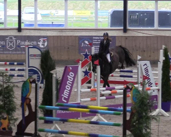 Reitturnier Niebüll 2023