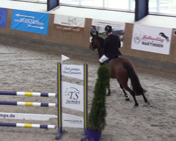 Reitturnier Niebüll 2023