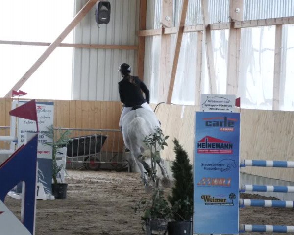 Reitturnier Worms-Pfeddersheim / Reitsportanlage Wittemer 2023