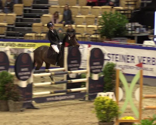 FEI Reitturnier Neumünster (GER) 2021