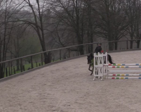 Reitturnier Erkrath - Uhlenhof 2023