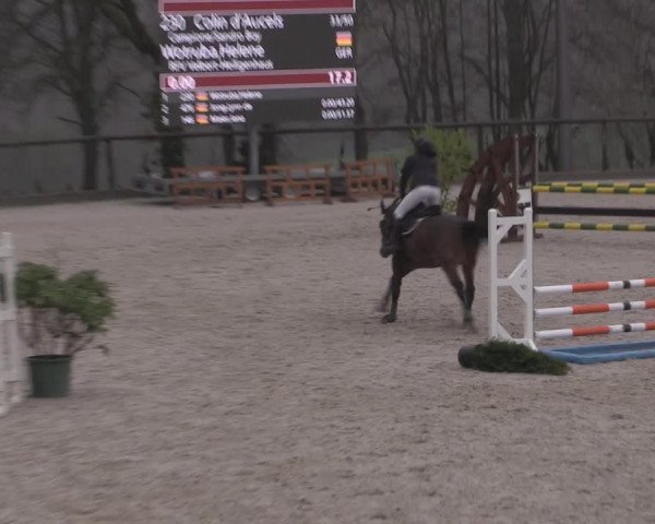 Reitturnier Erkrath - Uhlenhof 2023