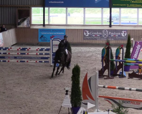 Reitturnier Niebüll 2023