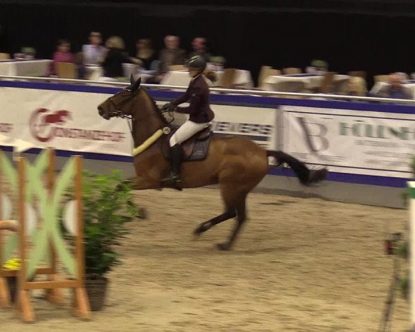 FEI Reitturnier Neumünster (GER) 2021