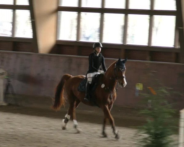 Reitturnier Päse 2023