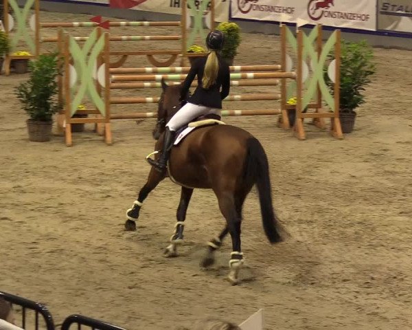 FEI Reitturnier Neumünster (GER) 2021
