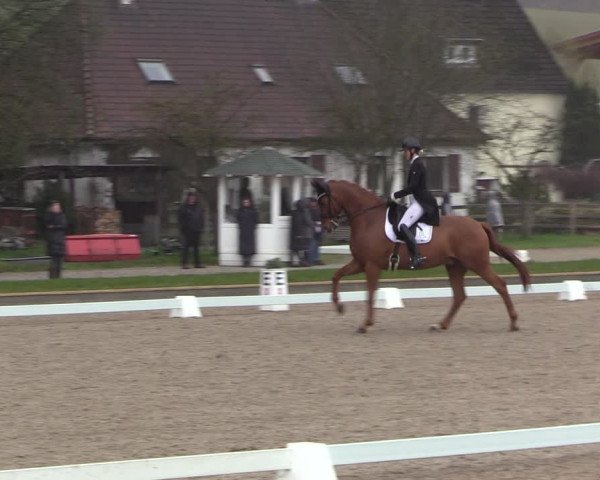 Reitturnier Balve-Wocklum 2023
