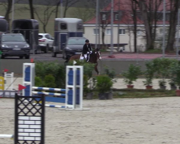 Reitturnier Balve-Wocklum 2023