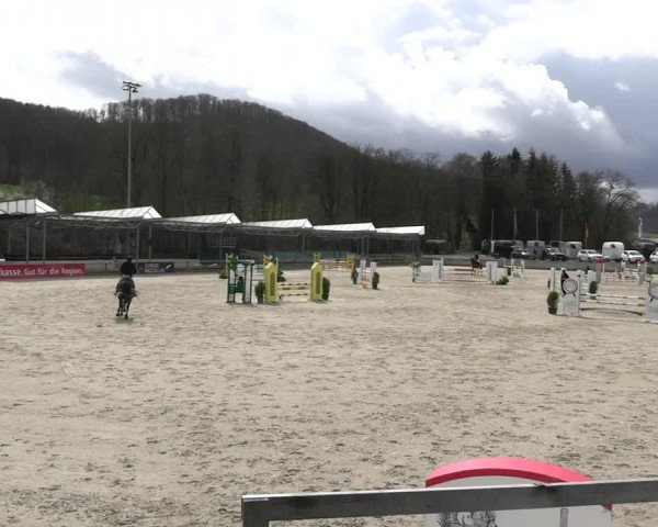 Reitturnier Balve-Wocklum 2023