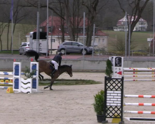 Reitturnier Balve-Wocklum 2023