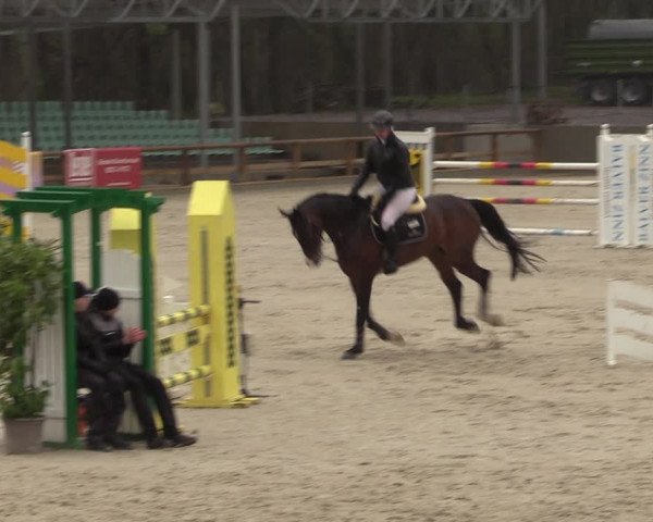 Reitturnier Balve-Wocklum 2023