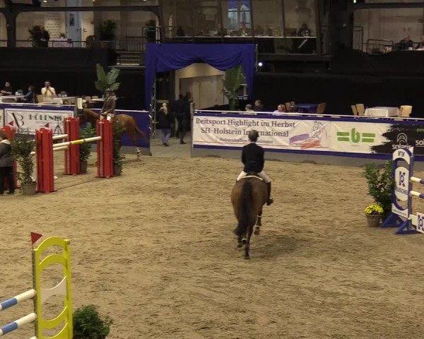 FEI Reitturnier Neumünster (GER) 2021