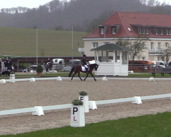 Reitturnier Balve-Wocklum 2023