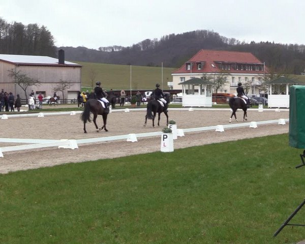 Reitturnier Balve-Wocklum 2023