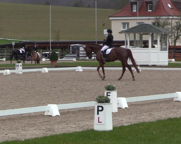 Reitturnier Balve-Wocklum 2023