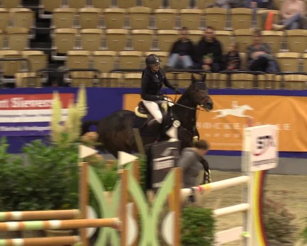 FEI Reitturnier Neumünster (GER) 2021