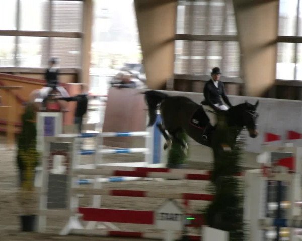 Reitturnier Päse 2023