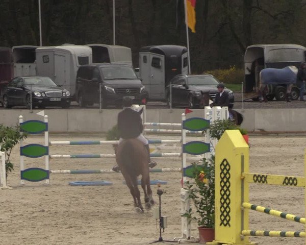 Reitturnier Balve-Wocklum 2023