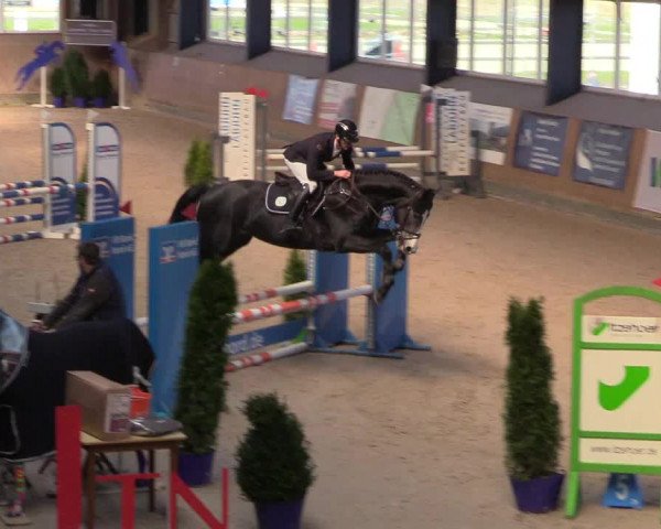 Reitturnier Niebüll 2023