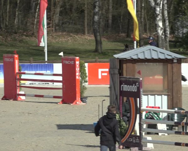 Reitturnier Westergellersen 2023
