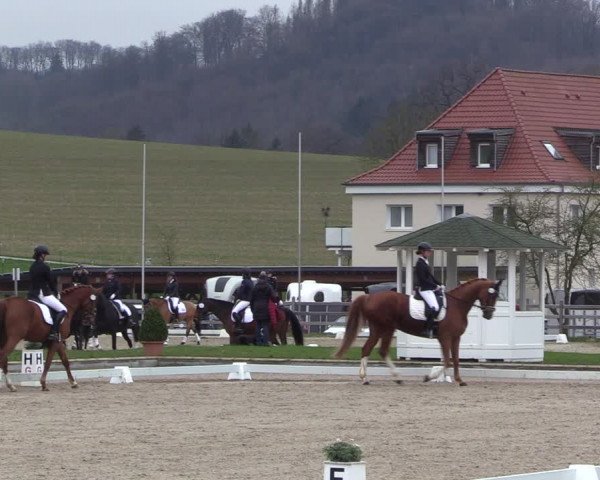 Reitturnier Balve-Wocklum 2023