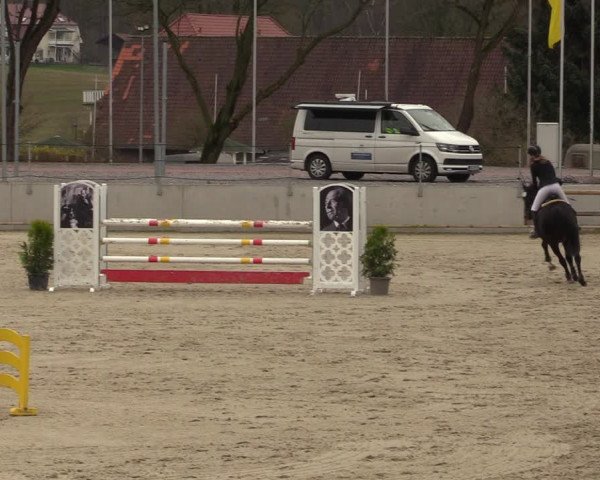 Reitturnier Balve-Wocklum 2023