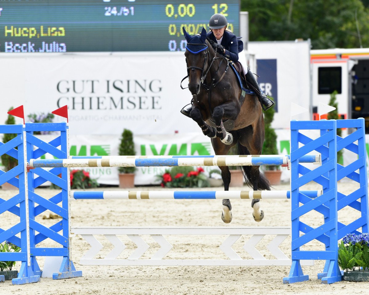Zuchtstute Miss Go Lightly (KWPN (Niederländisches Warmblut), 2003, von Namelus R)