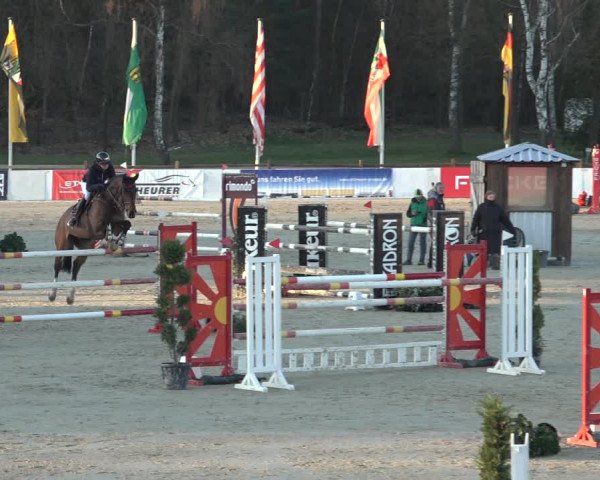 Reitturnier Westergellersen 2023