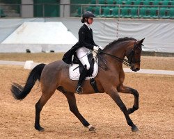 dressage horse Esplanade 10 (KWPN (Royal Dutch Sporthorse), 2009, from Münchhausen)