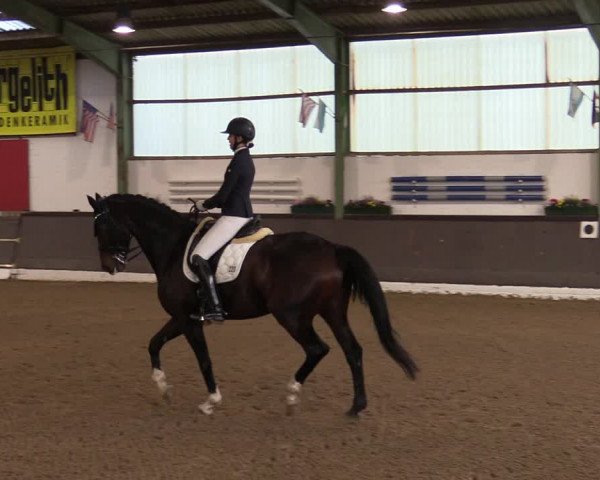 Reitturnier Bad Essen 2021