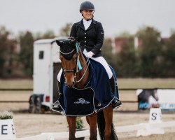 dressage horse Scarlett 711 (Rhinelander, 2013, from Special Agent Amour)