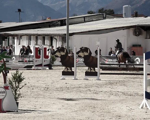Reitturnier Giubiasco 2023