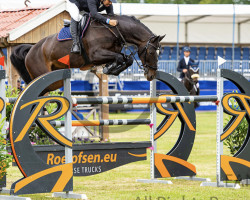 jumper Frederik B (KWPN (Royal Dutch Sporthorse), 2010, from Zapatero VDL)