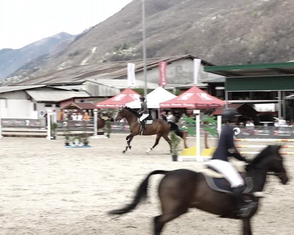Reitturnier Giubiasco 2023