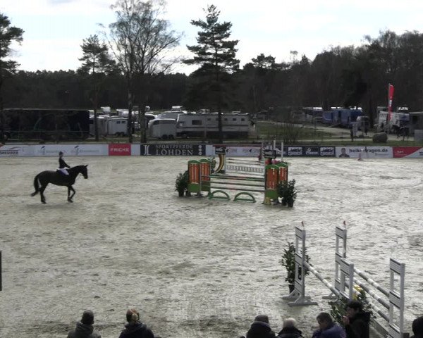 Reitturnier Westergellersen 2023