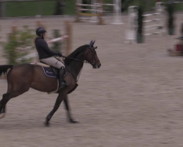 Reitturnier Erkrath - Uhlenhof 2023