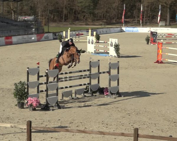 Reitturnier Westergellersen 2023