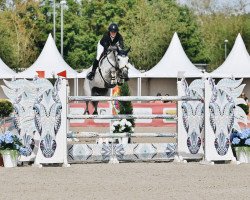 jumper Ici Paris CH (KWPN (Royal Dutch Sporthorse), 2013, from Mylord Carthago)