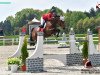 jumper Bailando 42 (KWPN (Royal Dutch Sporthorse), 2006, from Numero Uno)