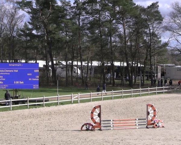 Reitturnier Westergellersen 2023