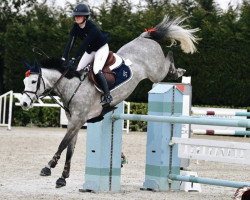 jumper Clemence de Laubry Z (Zangersheide riding horse, 2015, from Cornet Obolensky)