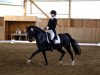 dressage horse D'accord (German Riding Pony, 2011, from Davenport II)