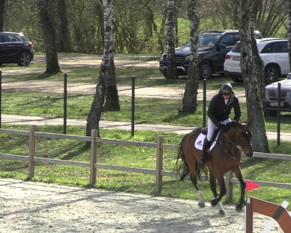 Reitturnier Westergellersen 2023