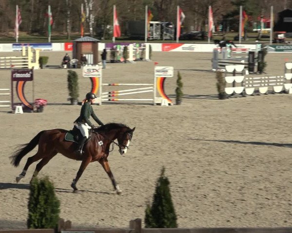 Reitturnier Westergellersen 2023