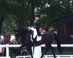 dressage horse Diva Surprise (Hessian Warmblood, 2005, from Diamond Hit)