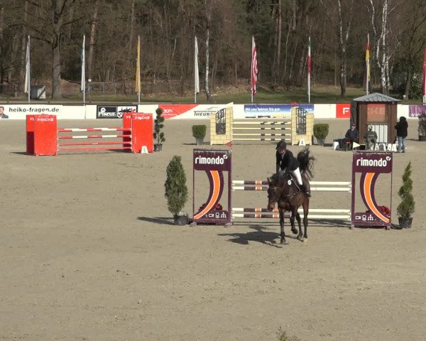 Reitturnier Westergellersen 2023