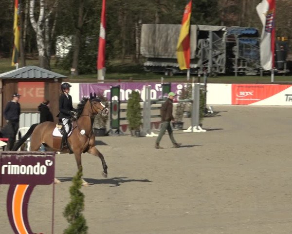 Reitturnier Westergellersen 2023