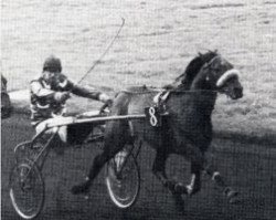 stallion Ejakval (FR) (French Trotter, 1970, from Kerjacques (FR))