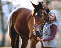 jumper Obora's Ellis (Austrian Warmblood, 2009, from Epsom Gesmeray)